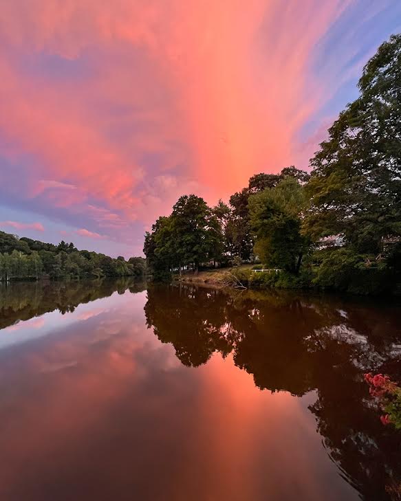 Ellen Foust - Red Geyser