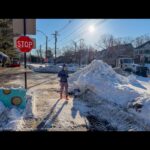 Fig City News Fig City News