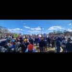 Fig City News Fig City News