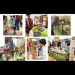 Fig City News Fig City News