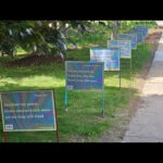 Fig City News