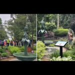 Fig City News
