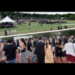 Fig City News Fig City News