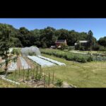 Fig City News Fig City News