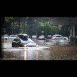Fig City News Fig City News