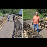 Fig City News Fig City News