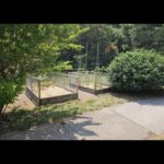 Fig City News Fig City News