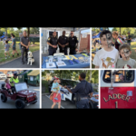 Fig City News Fig City News