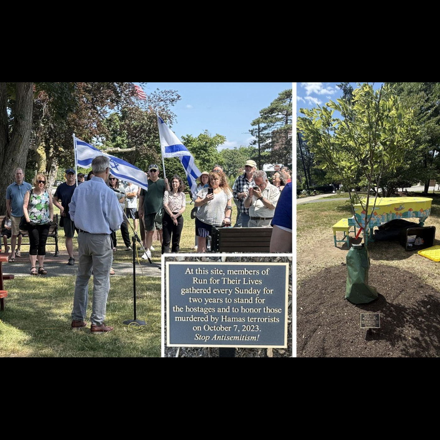 “Run For Their Lives” plaque and new tree dedicated in Newton Centre episode artwork